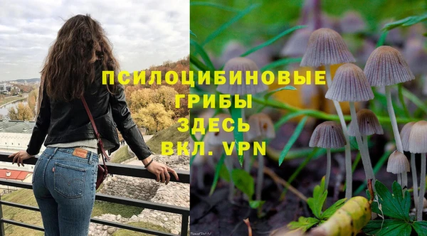 а пвп мука Алексин