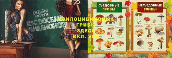 скорость Алзамай
