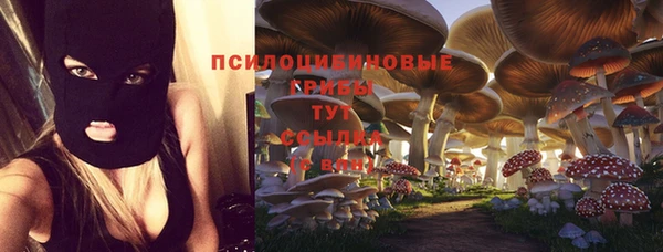 а пвп мука Алексин
