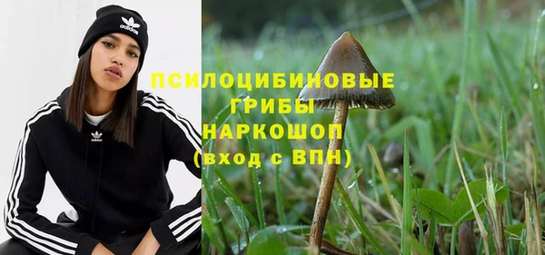 МДПВ Саяногорск