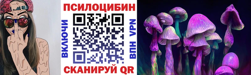 OMG ССЫЛКА  Вихоревка  Галлюциногенные грибы мицелий 